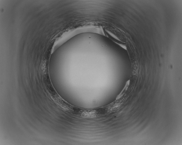 X0000081400560200702020323