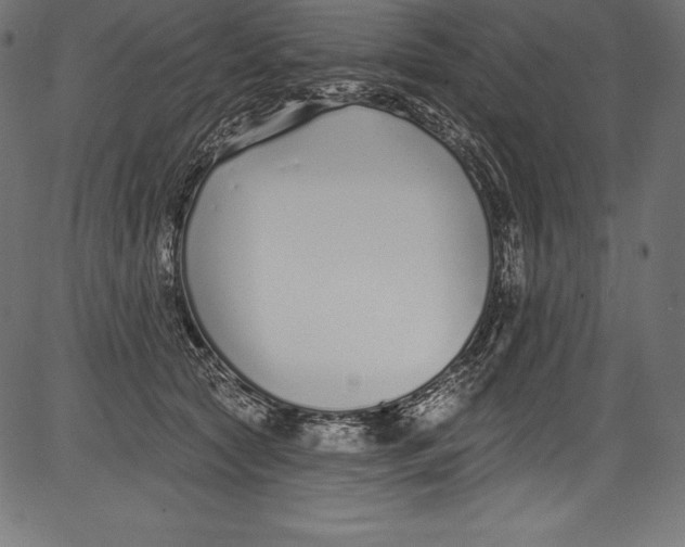 X0000081400561200702020323