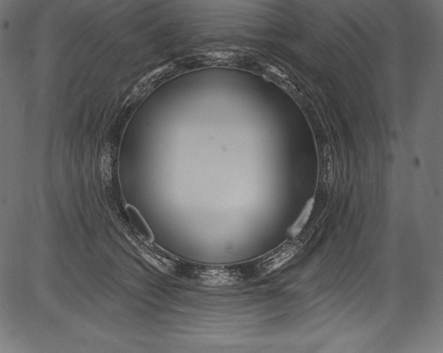 X0000081400562200702020323