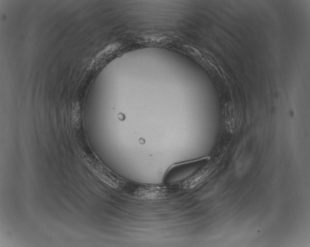 X0000081400563200702020323