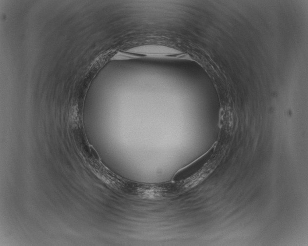 X0000081400564200702020323