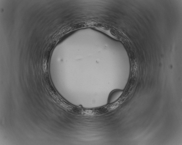 X0000081400565200702020323