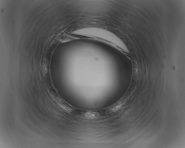 X0000081400566200702020323