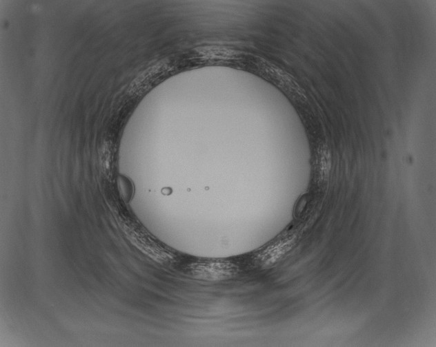 X0000081400567200702020323