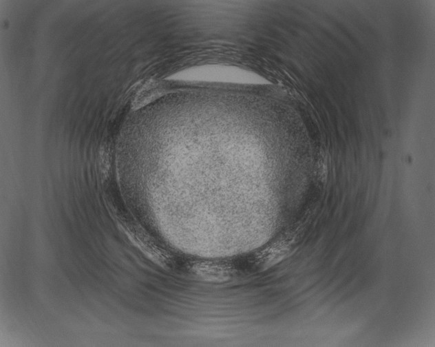 X0000081400568200702020323