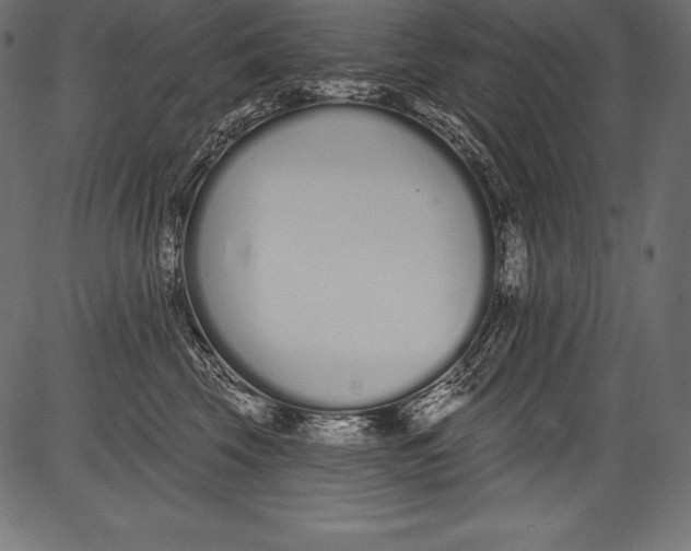 X0000081400569200702020323