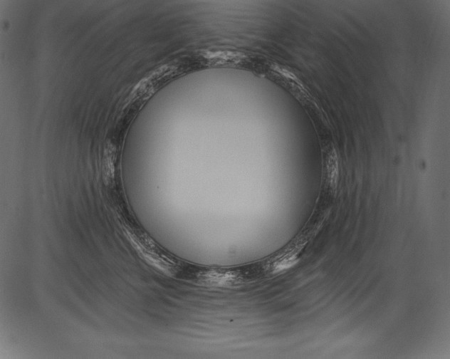 X0000081400570200702020323