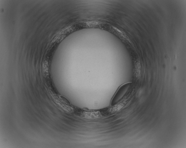 X0000081400571200702020323