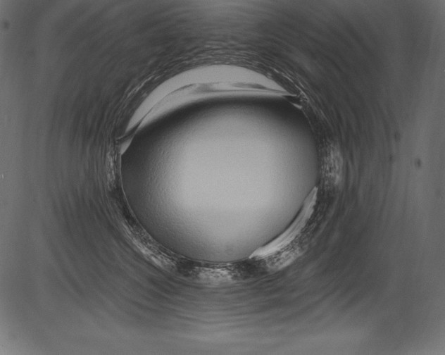 X0000081400572200702020323