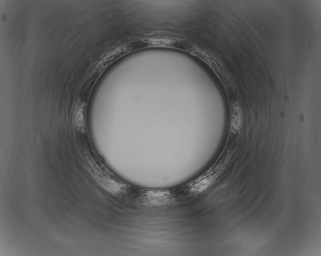 X0000081400573200702020323