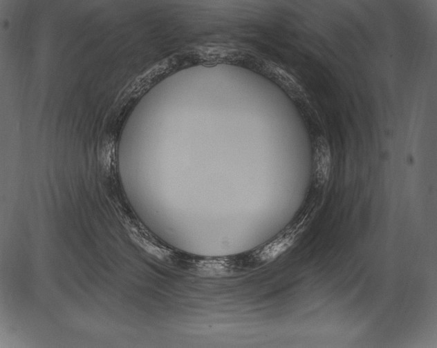 X0000081400574200702020323