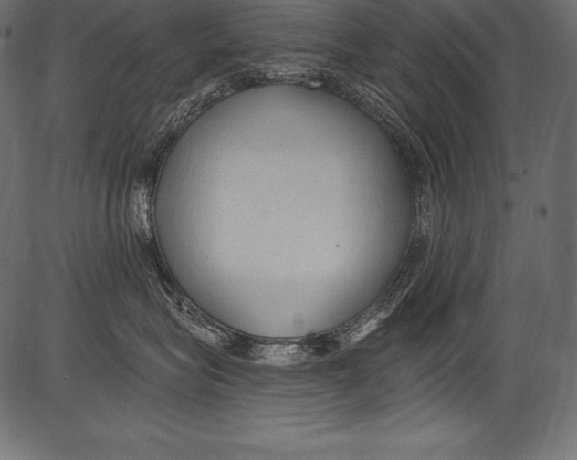 X0000081400575200702020323