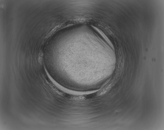 X0000081400576200702020323