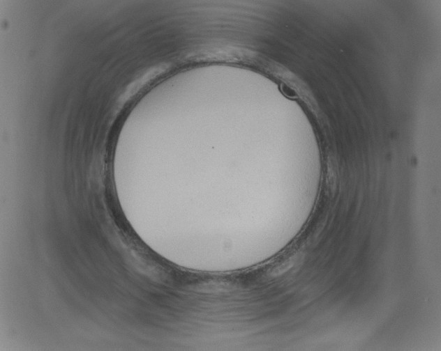 X0000081400578200702020323