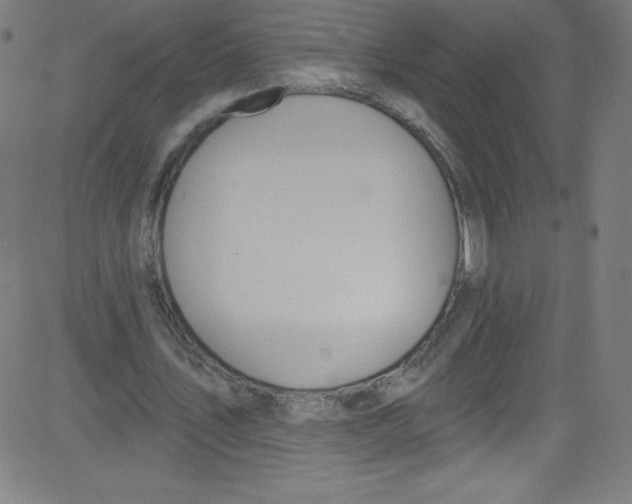 X0000081400579200702020323