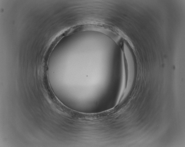 X0000081400580200702020323