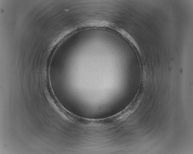 X0000081400581200702020323