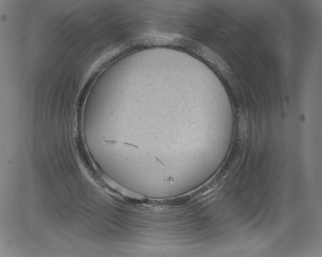 X0000081400582200702020322