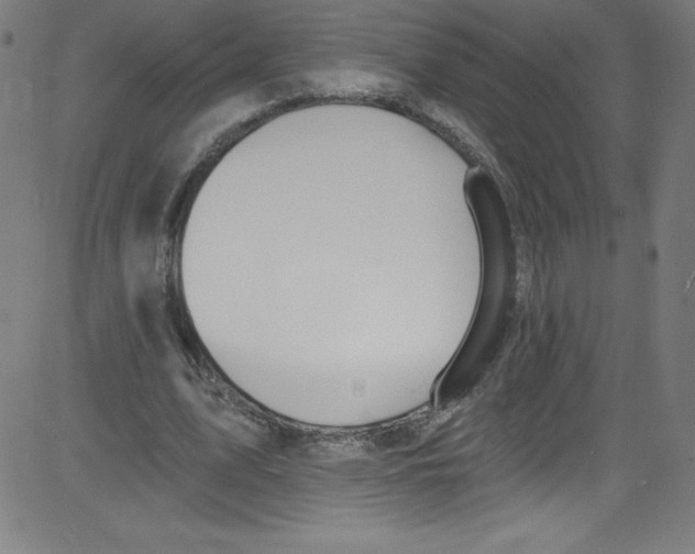 X0000081400583200702020322