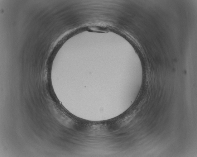 X0000081400584200702020322