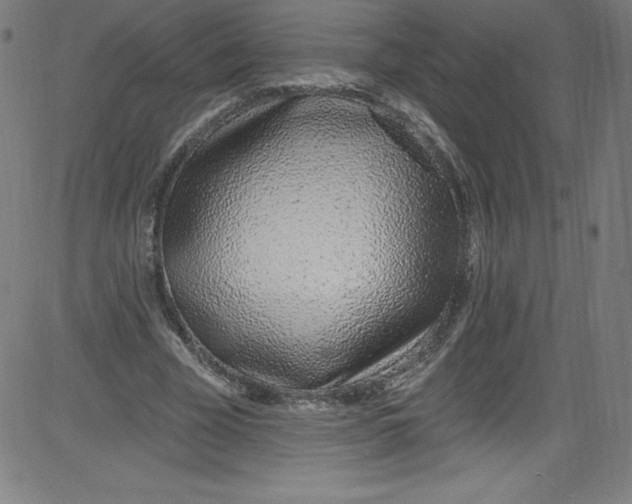 X0000081400585200702020322