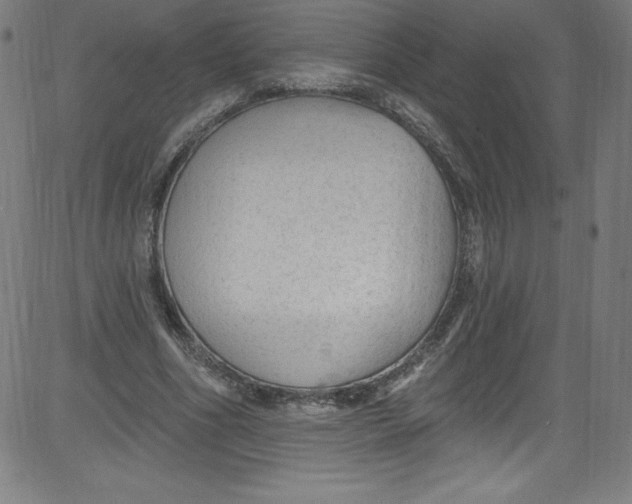 X0000081400586200702020322