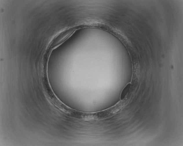 X0000081400587200702020322