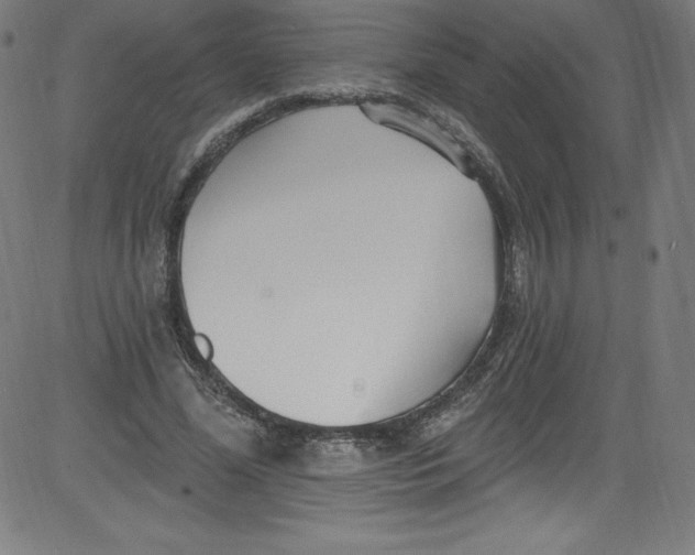 X0000081400588200702020322