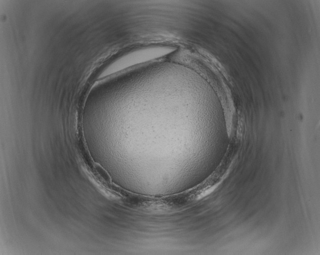 X0000081400589200702020322