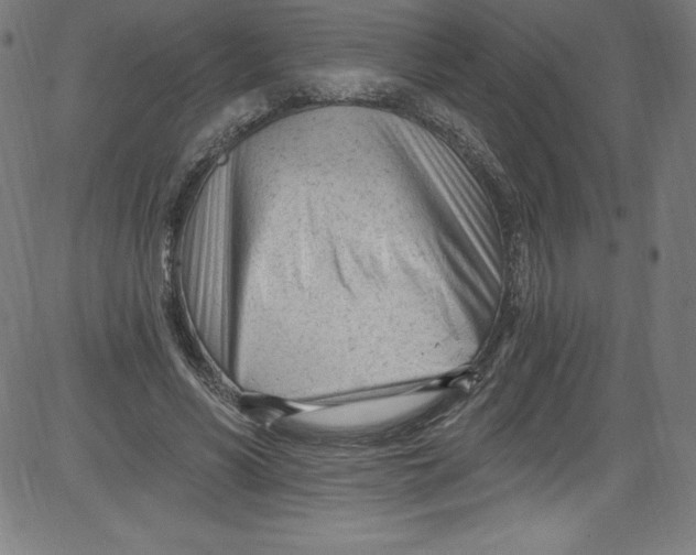 X0000081400590200702020322