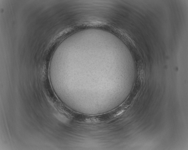 X0000081400591200702020322