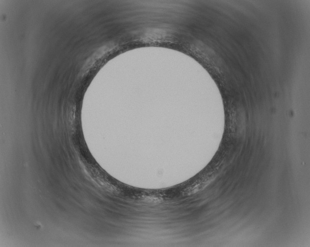 X0000081400592200702020322