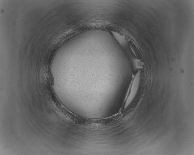 X0000081400593200702020322