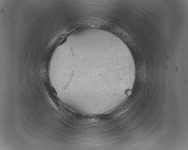 X0000081400594200702020322