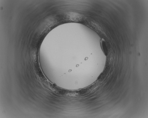 X0000081400595200702020322