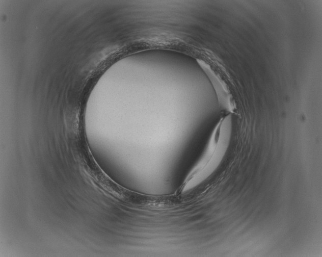 X0000081400596200702020322