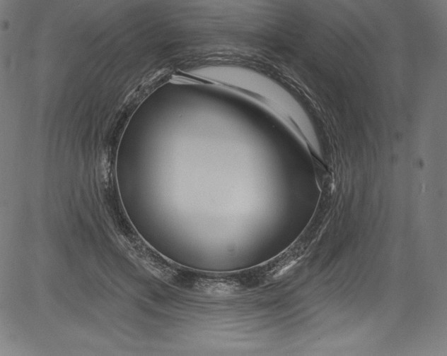 X0000081400597200702020322