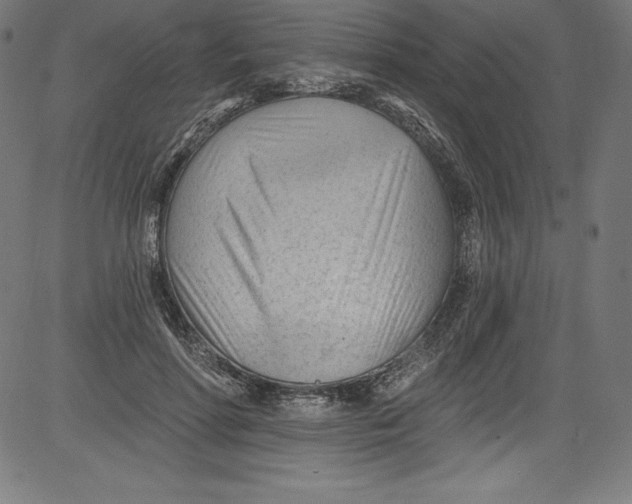 X0000081400598200702020322