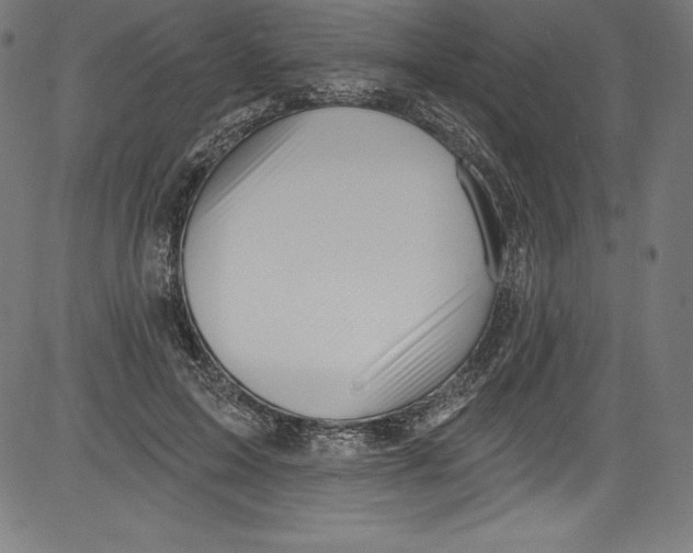 X0000081400599200702020322