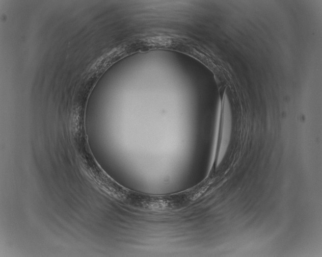 X0000081400600200702020322