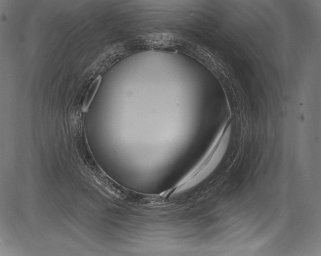 X0000081400601200702020322