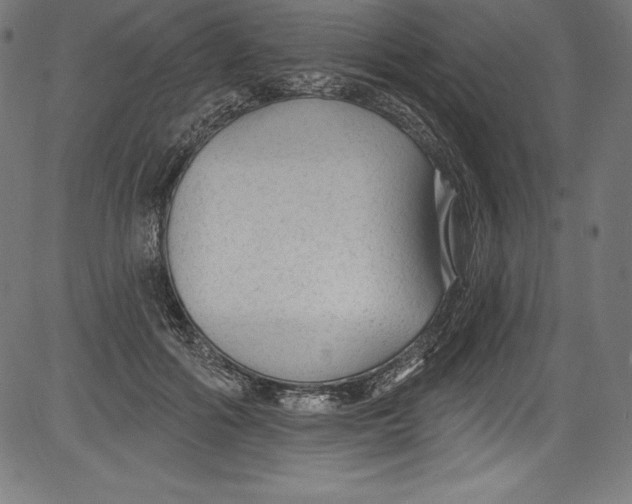 X0000081400602200702020322