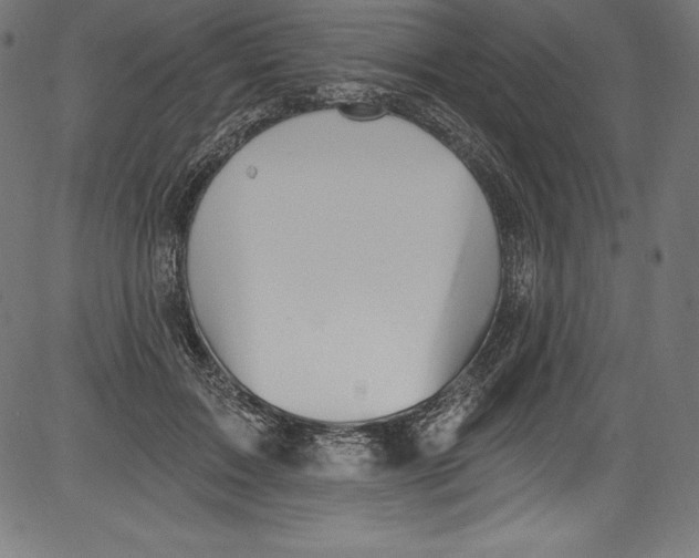 X0000081400603200702020322