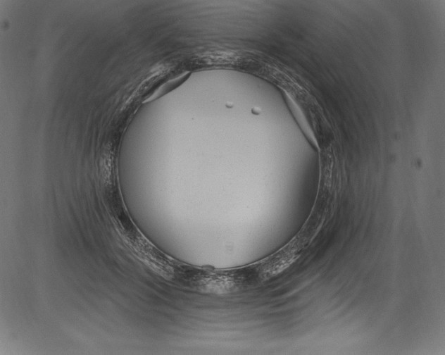 X0000081400604200702020322