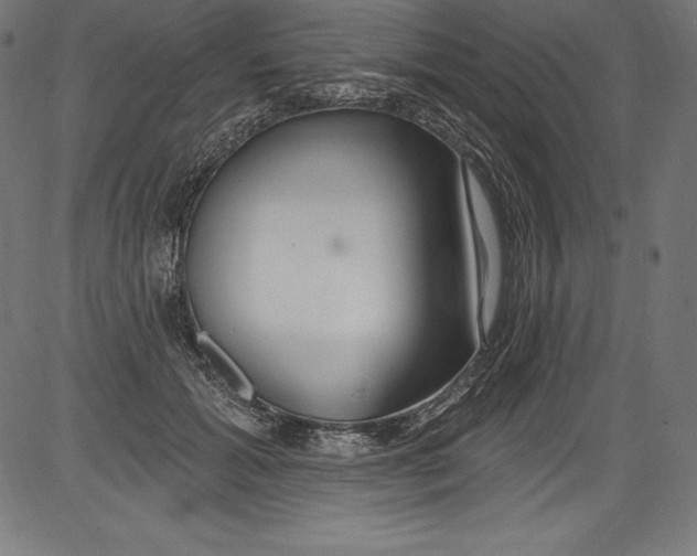 X0000081400605200702020322