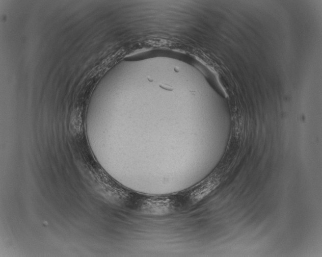 X0000081400606200702020322