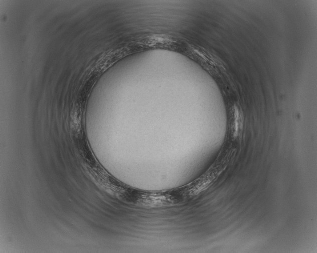 X0000081400607200702020322