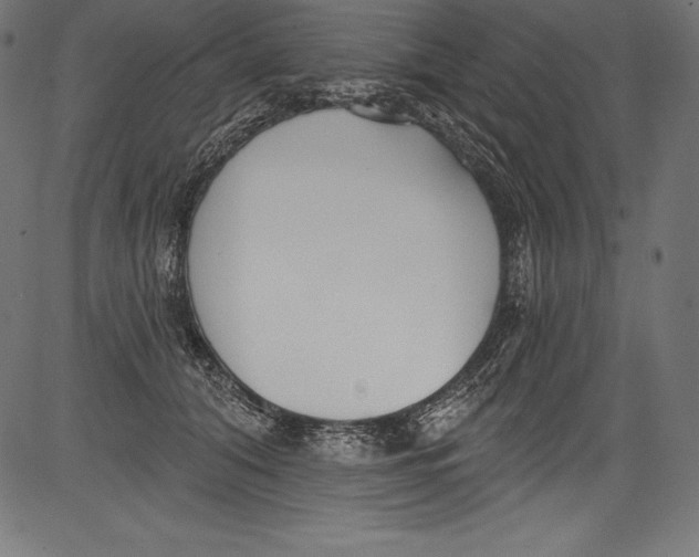 X0000081400608200702020322