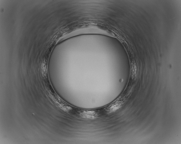 X0000081400609200702020322