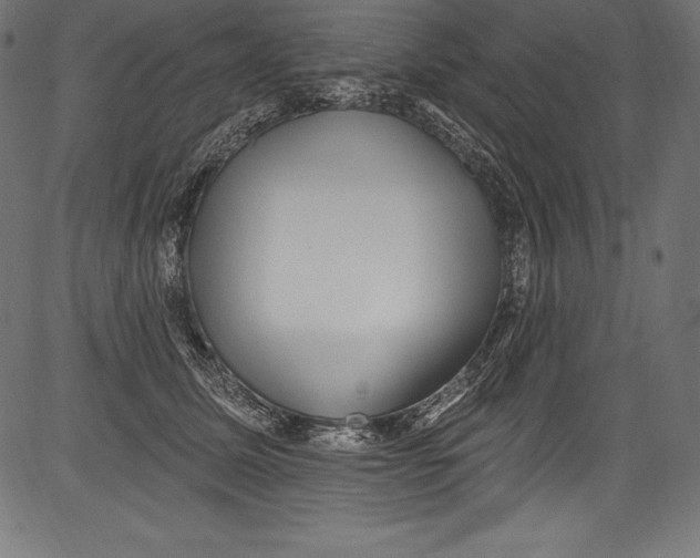 X0000081400611200702020322